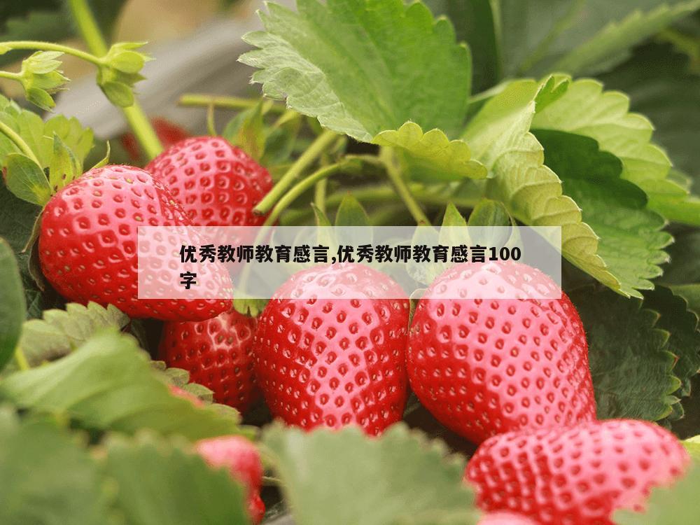 优秀教师教育感言,优秀教师教育感言100字