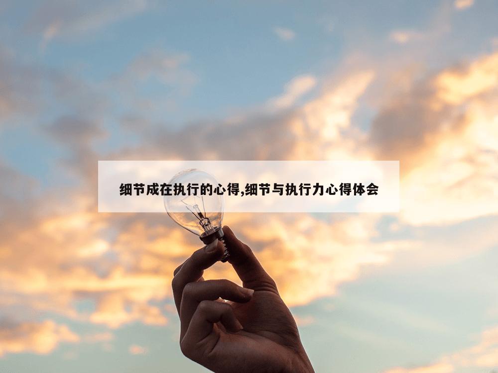 细节成在执行的心得,细节与执行力心得体会