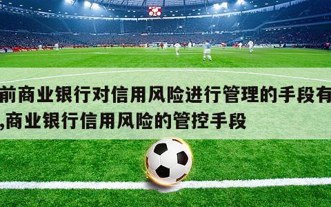 目前商业银行对信用风险进行管理的手段有哪些,商业银行信用风险的管控手段