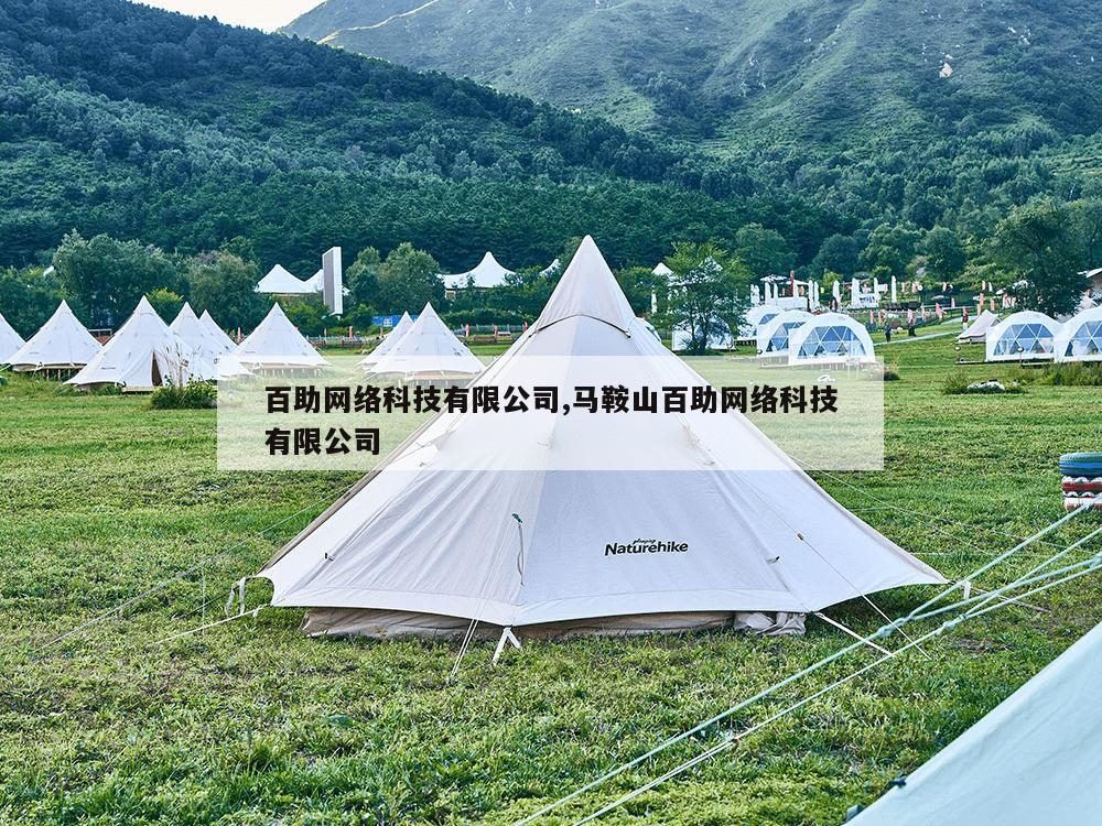 百助网络科技有限公司,马鞍山百助网络科技有限公司