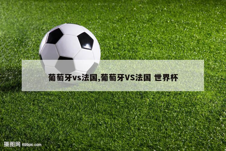 葡萄牙vs法国,葡萄牙VS法国 世界杯