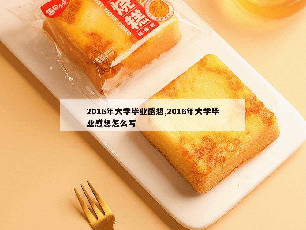 2016年大学毕业感想,2016年大学毕业感想怎么写