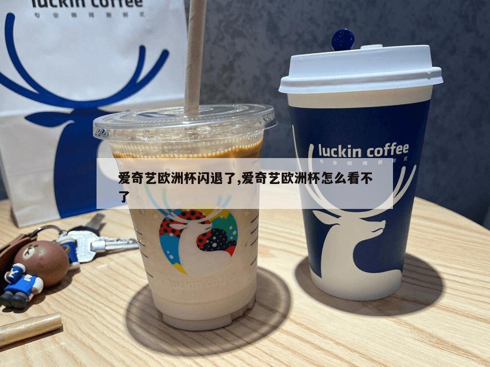 爱奇艺欧洲杯闪退了,爱奇艺欧洲杯怎么看不了