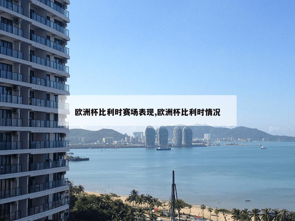 欧洲杯比利时赛场表现,欧洲杯比利时情况