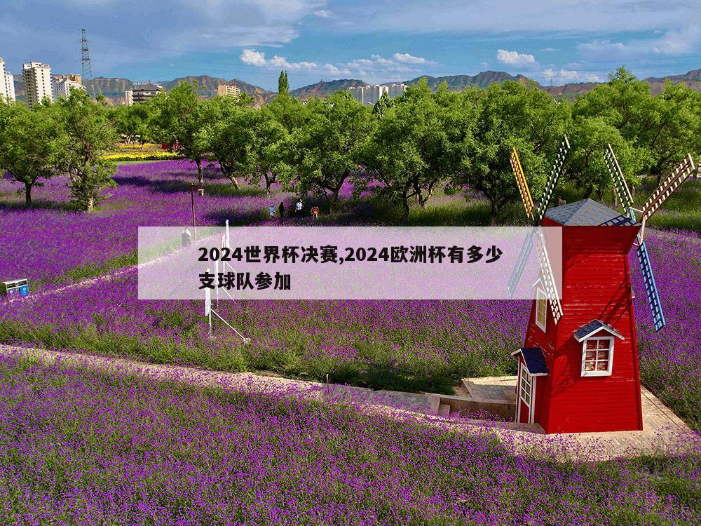 2024世界杯决赛,2024欧洲杯有多少支球队参加