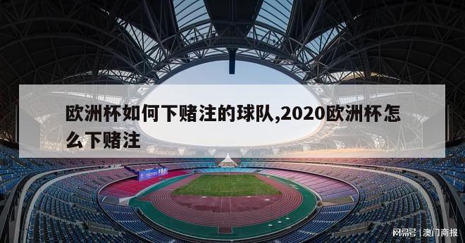 欧洲杯如何下赌注的球队,2020欧洲杯怎么下赌注